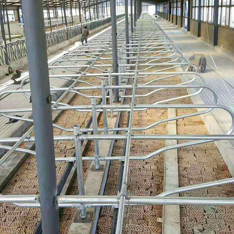 供应商猪的定位栏100米栏有几个栏现代化羊场设备