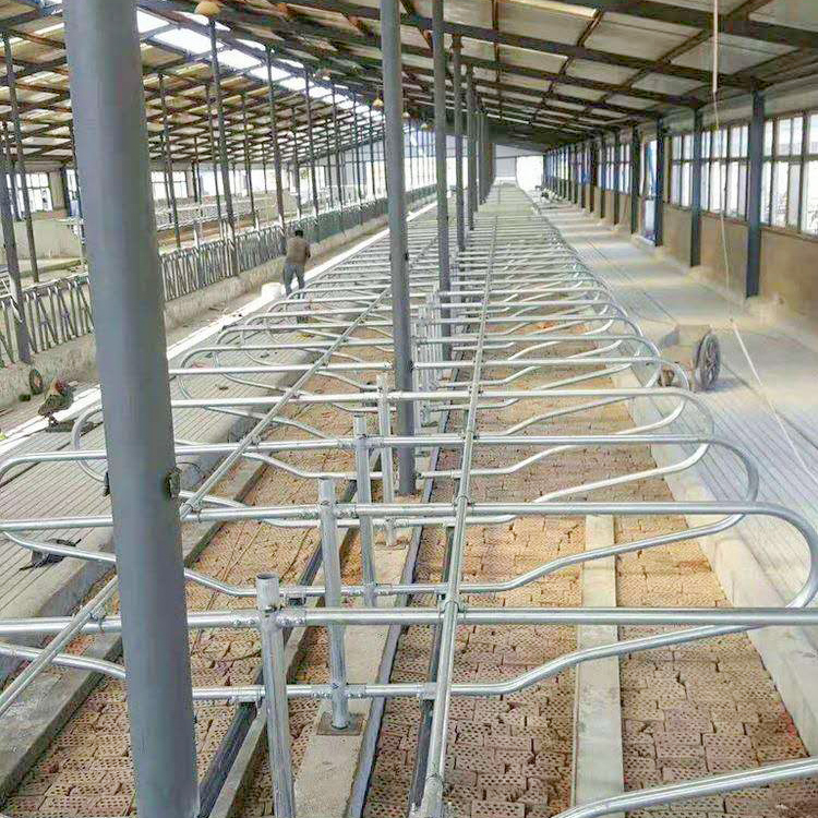定制猪的定位栏牛限位栏牛羊屠宰设备厂家