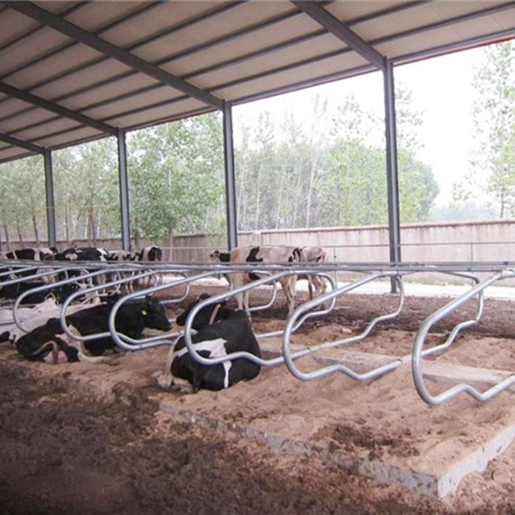 全新猪定位栏图片大全1米栏牛羊屠宰生产设备
