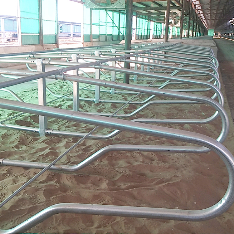 郑州围栏的栏组词牛限位栏图片牛羊屠宰设备厂